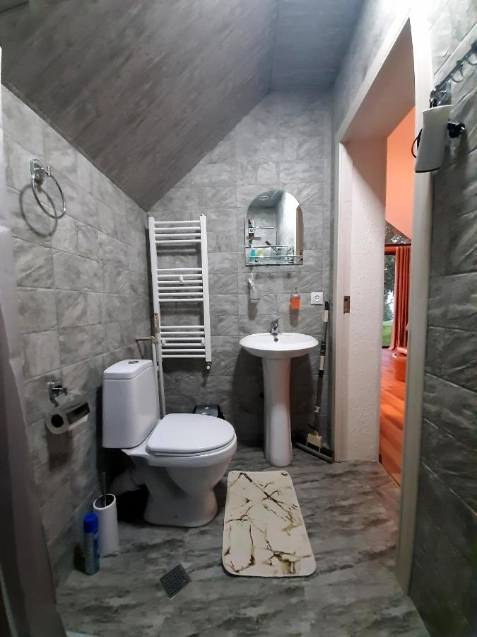 Kazbegi Cottages Qabarjina 외부 사진