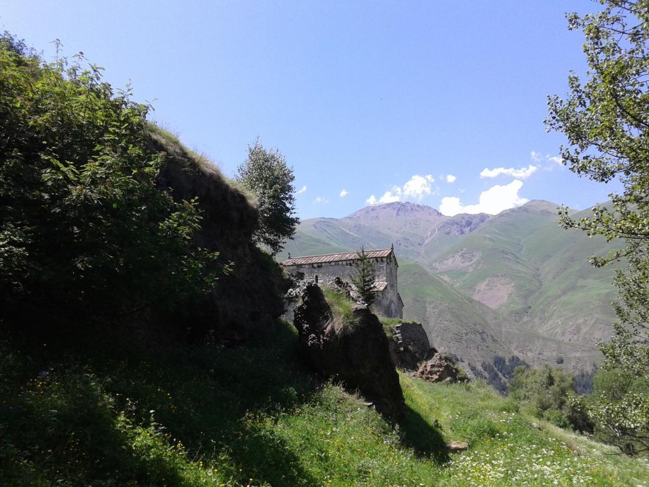 Kazbegi Cottages Qabarjina 외부 사진
